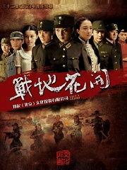 战地花开,烽火岁月中的青春之歌